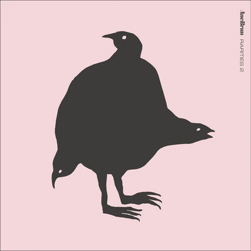 Ane Brun - Rarities 2 (Vinyl LP)