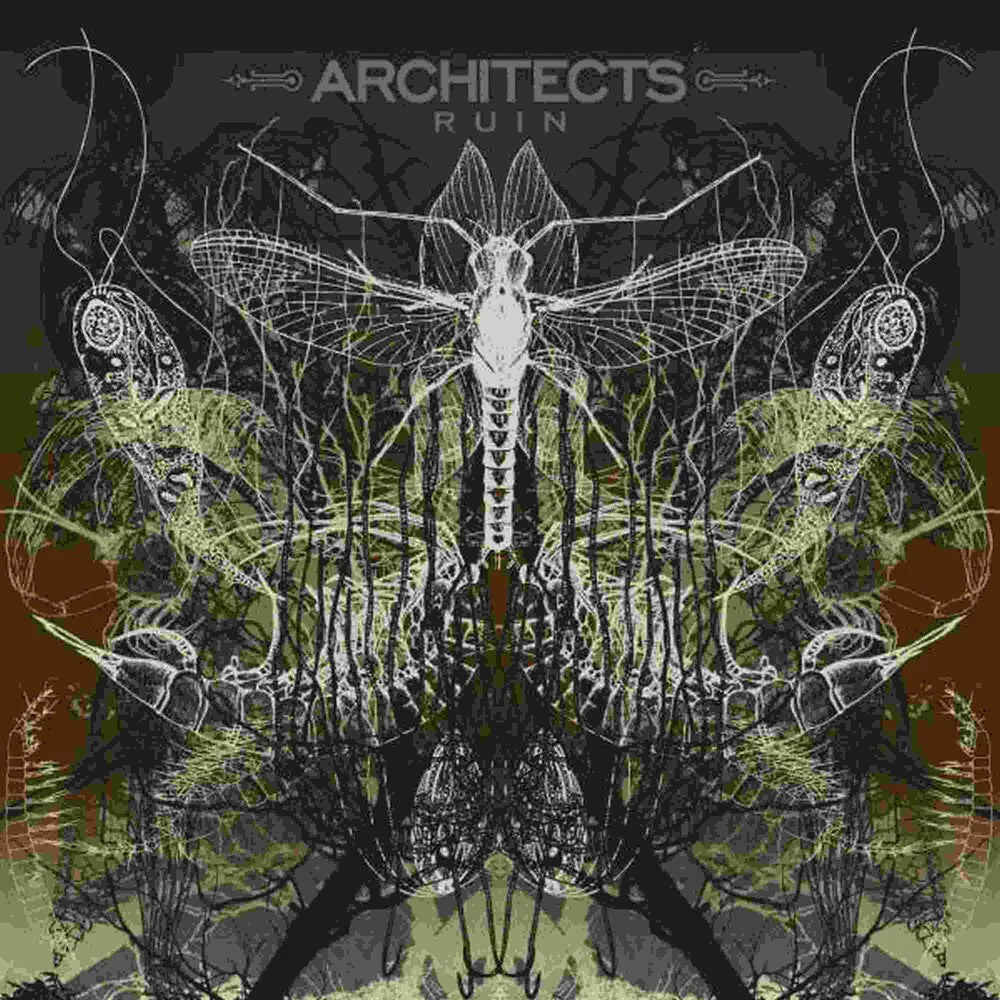 Architects - Ruin (Can) [LP]