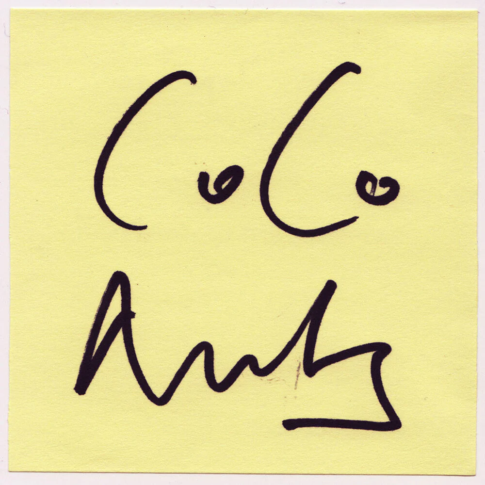 Coconuts - 2 [LP]
