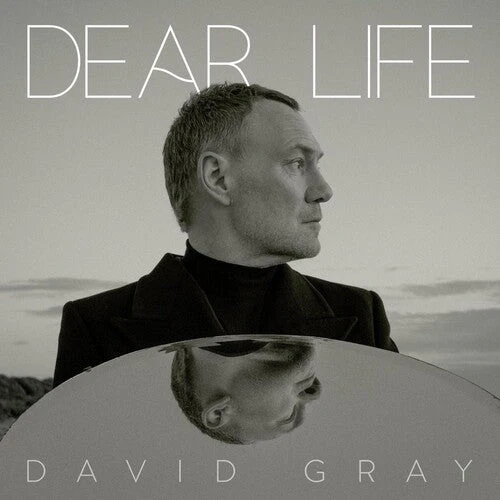 David Gray - Dear Life (Vinyl LP)