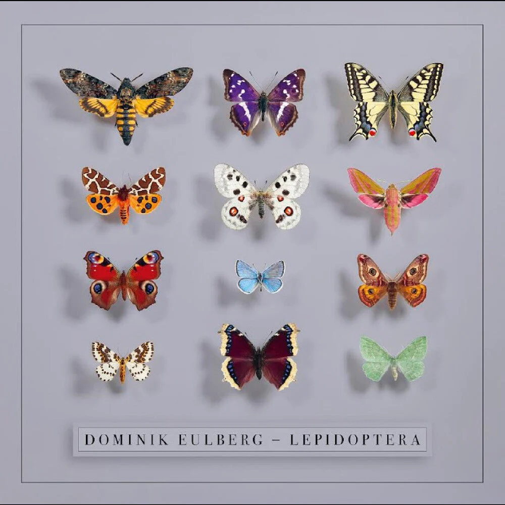 Dominik Eulberg - Lepidoptera [LP]
