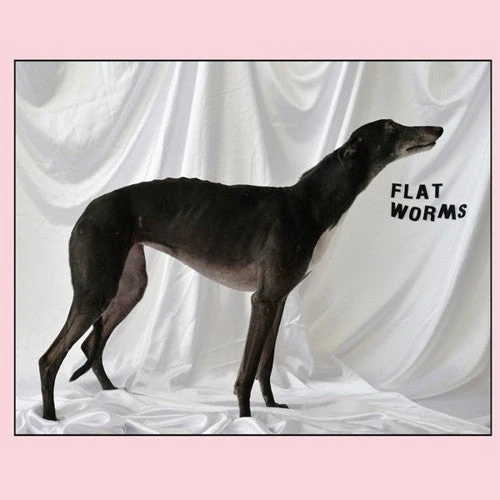 Flat Worms - Flat Worms [LP]