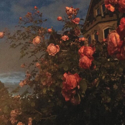 John Bence - Love (Indie Exclusive Vinyl)