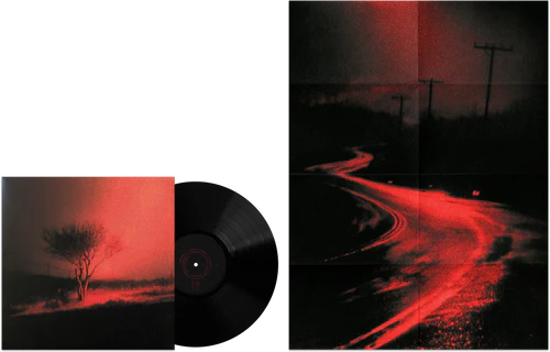 Joji - Piss In The Wind [Black Vinyl + Poster]