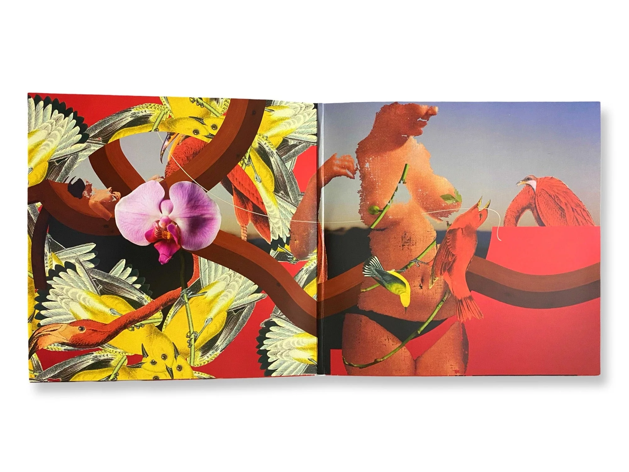 Mac Miller - Watching Movies With The Sound Off (Limited Edition Brown Colored Vinyl) - Image 2