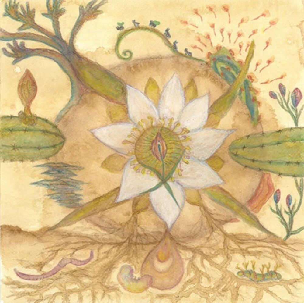 Markandeya - Vision Versions: Joaquin Cornejo Meets Markandeya [LP]