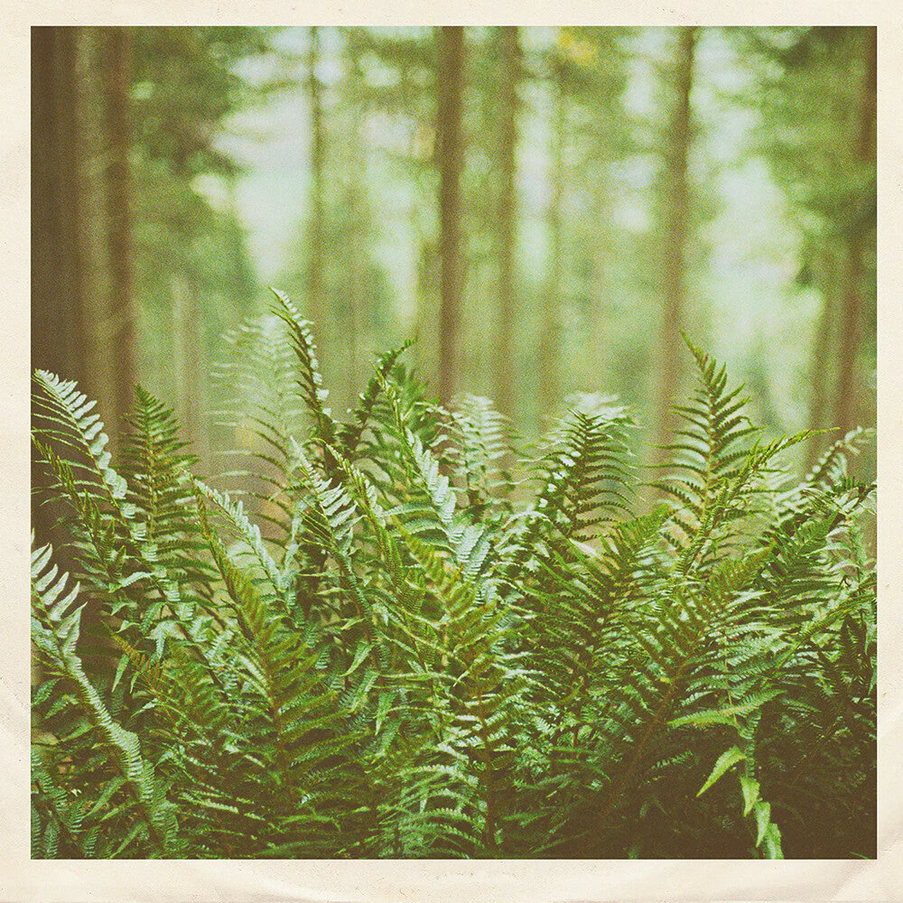 Mtbrd - Just Visiting [7" Vinyl]