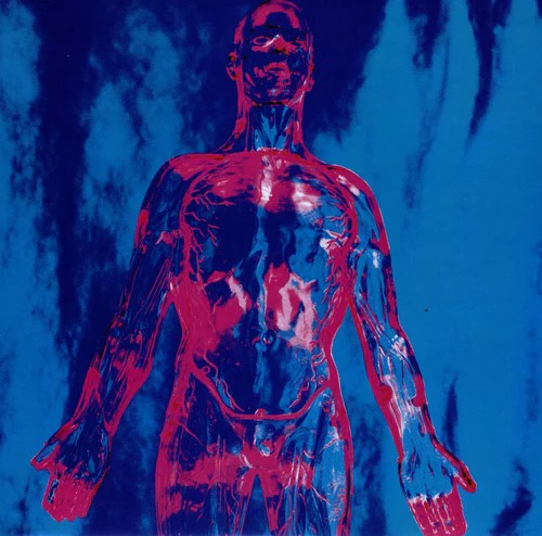 Nirvana - Sliver [Vinyl Single]