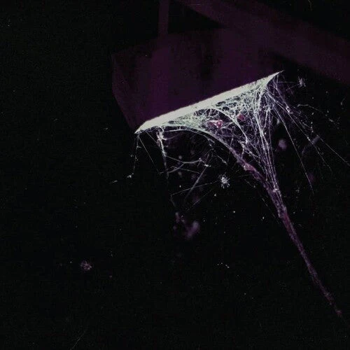 Pluralone - Wile B/W Remembered [Purple Vinyl Single]
