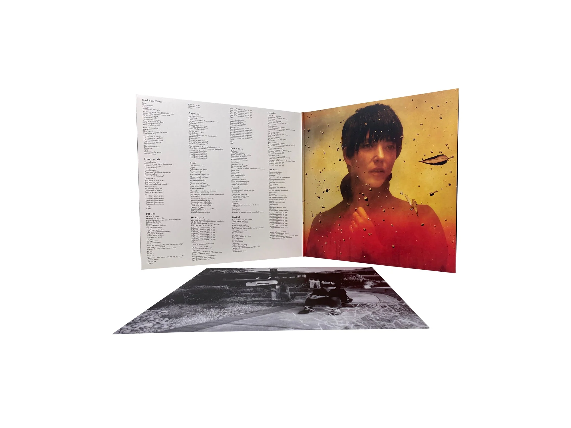 Sharon Van Etten - We've Been Going About This All Wrong (Limited Edition Marbled Smoke Colored Vinyl) - Image 2