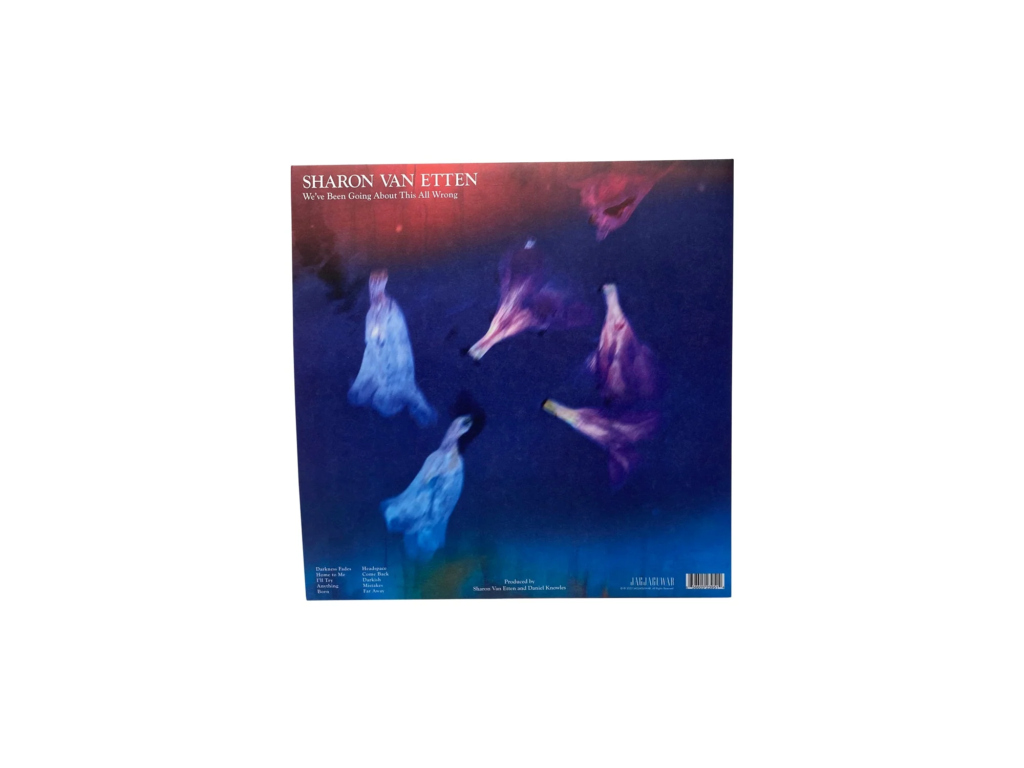 Sharon Van Etten - We've Been Going About This All Wrong (Limited Edition Marbled Smoke Colored Vinyl) - Image 3