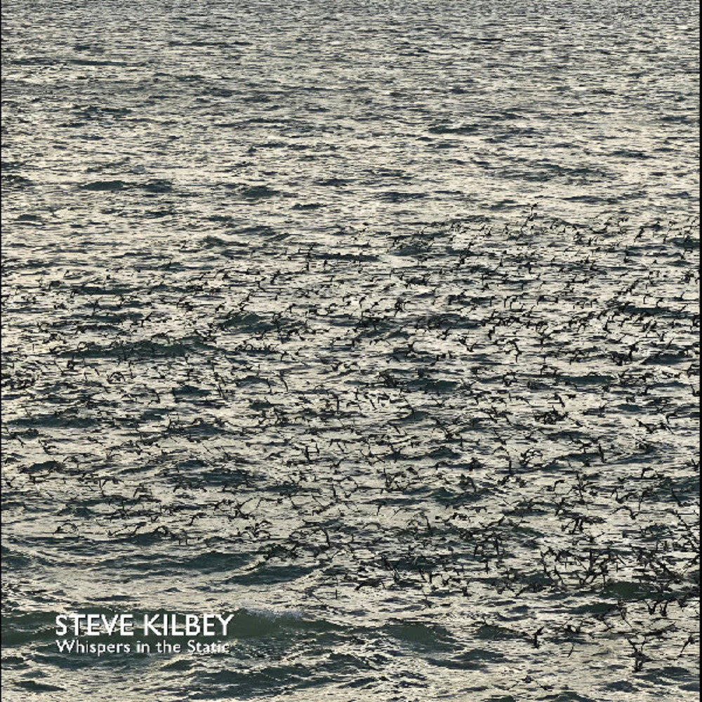 Steve Kilbey - Whispers In The Static [Colored Vinyl] (Gry)