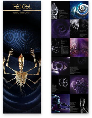 Tool - Fear Inoculum (Vinyl LP) - Image 3