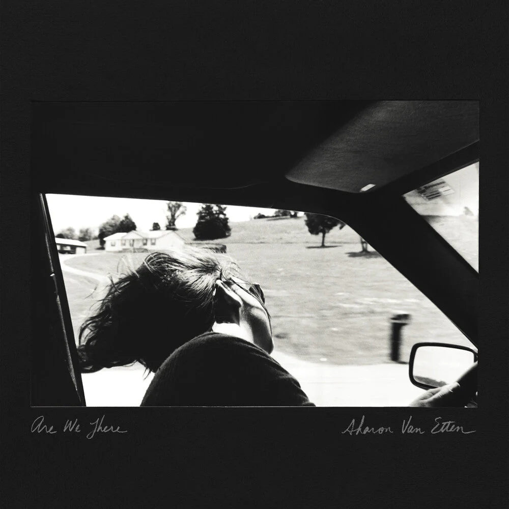 Van Sharon Etten - Are We There (10 Year Anniversary Edition) [Colored Vinyl]